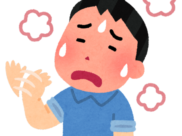 暑い日が増えてきましたね!