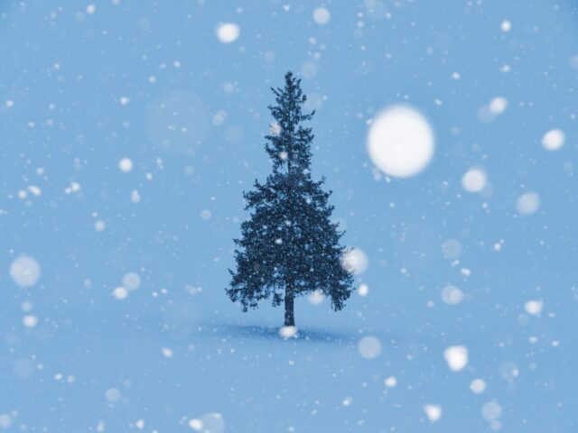 雪道の歩行や交通事故にご注意ください！！⛄