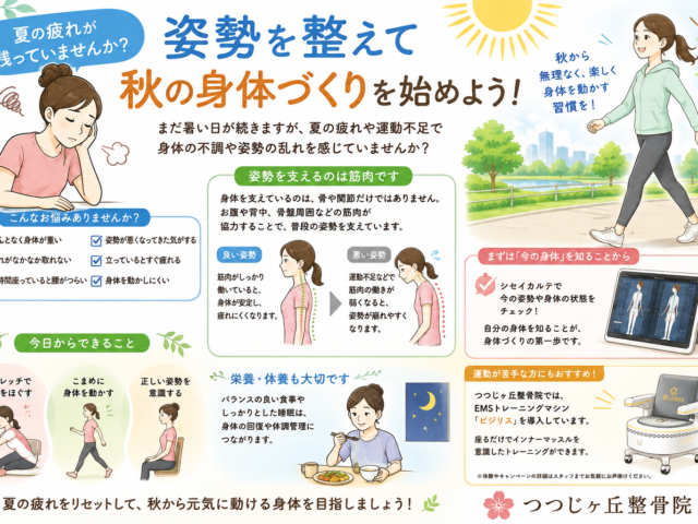 夏の疲れが残っていませんか？姿勢を整えて秋の身体づくりを始めよう