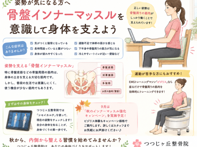 姿勢が気になる方へ｜骨盤インナーマッスルを意識して身体を支えよう